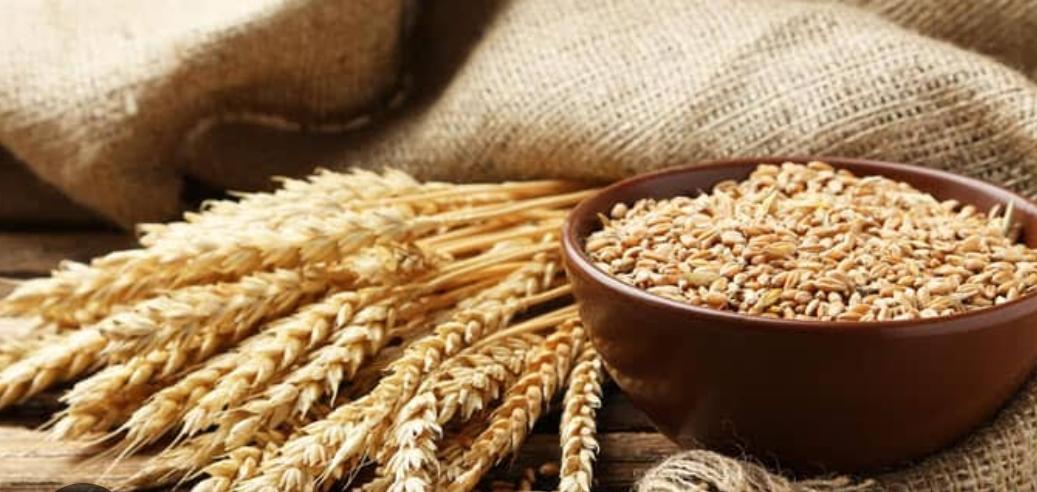 Grains