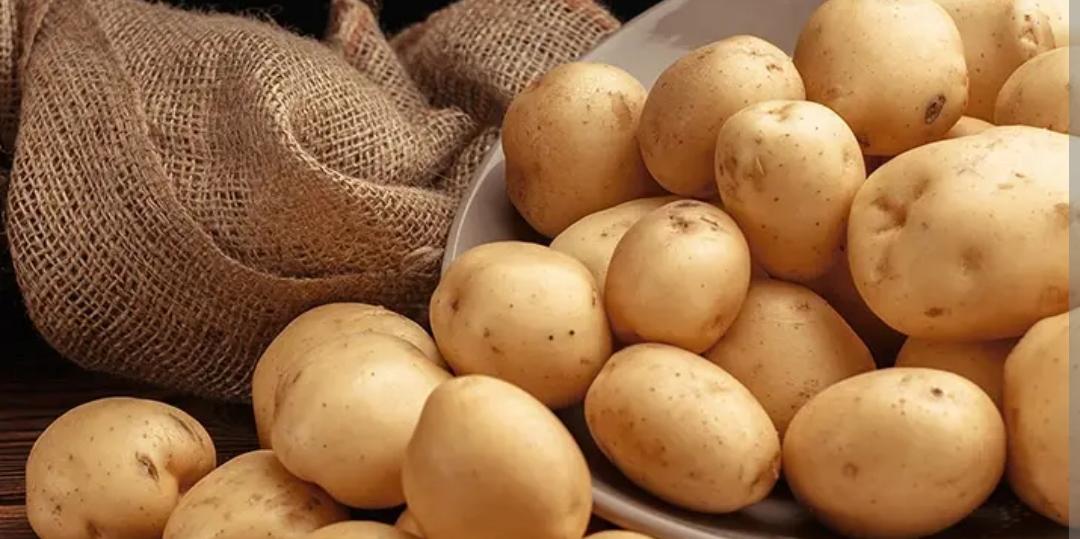 Potato